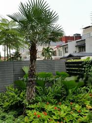 7 on Chapel (D15), Apartment #130553352